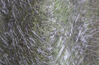 North Reston fibreglass roof work